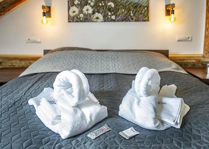 게스트하우스 Zachar 3*